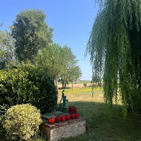 Character In Countryside, Swimming Pool Lanta