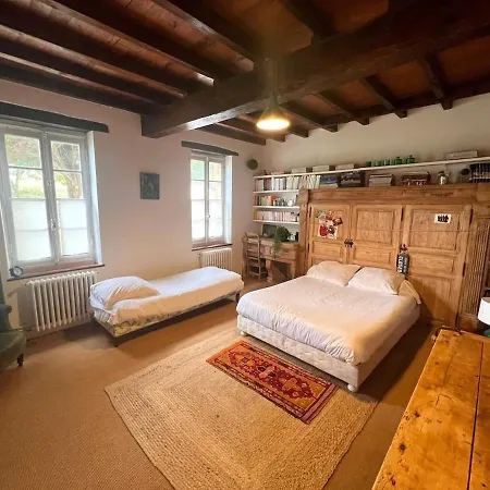 فيلة Character In Countryside, Swimming Pool Lanta