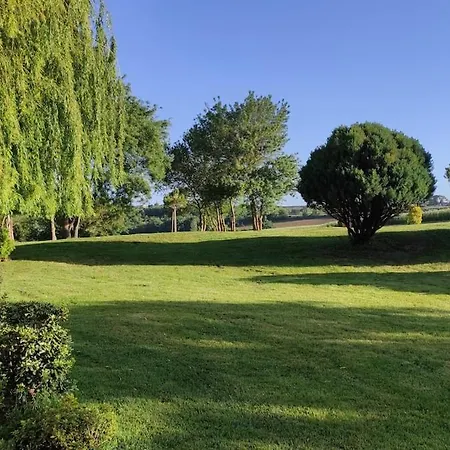 فيلة Character In Countryside, Swimming Pool Lanta